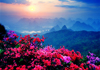 Philippinen Reise
